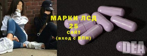 шишки Баксан