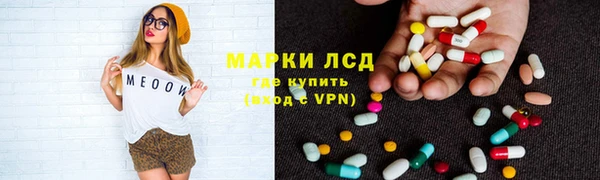 шишки Баксан