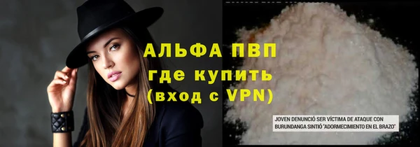 шишки Баксан