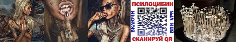 Галлюциногенные грибы GOLDEN TEACHER  продажа наркотиков  Костерёво 